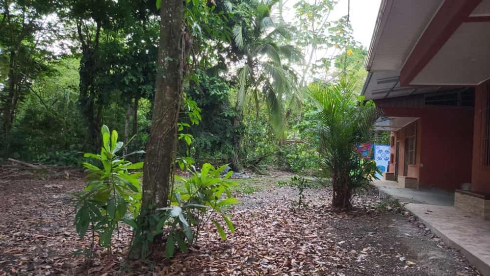 Hostel Manuel Antonio Park Jungle Esterno foto